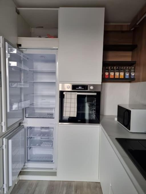 Luxury Apt. Near River & Parking Temeşvar Dış mekan fotoğraf