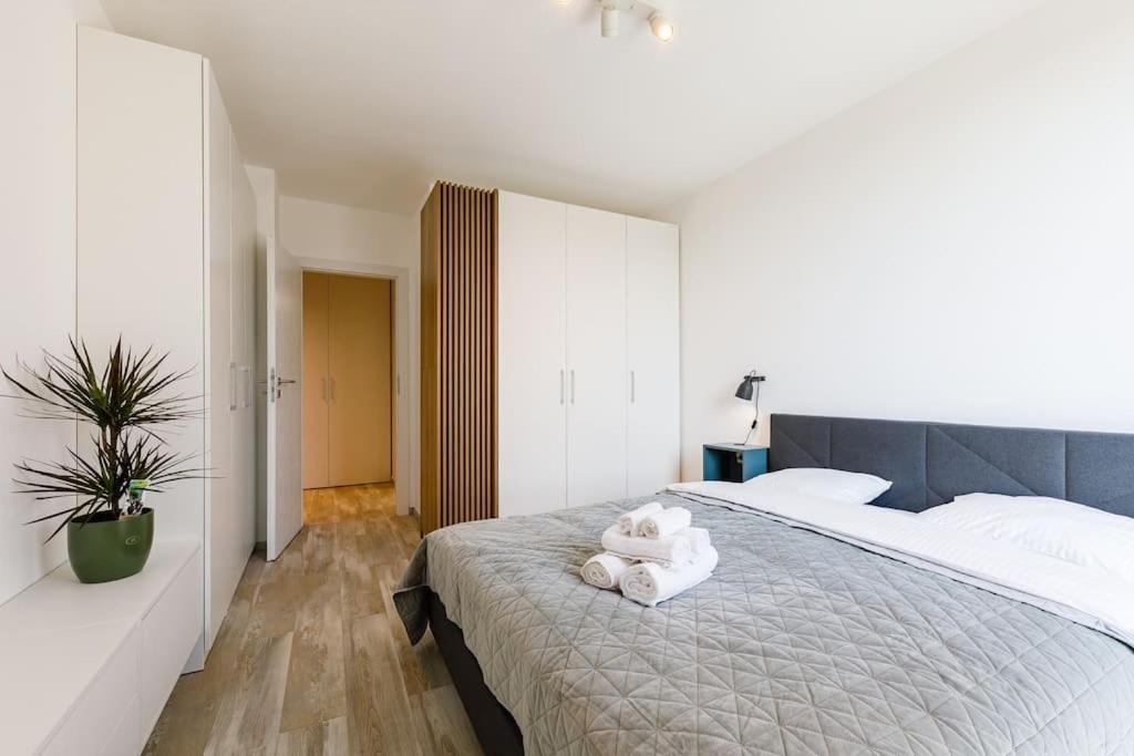 Luxury Apt. Near River & Parking Temeşvar Dış mekan fotoğraf