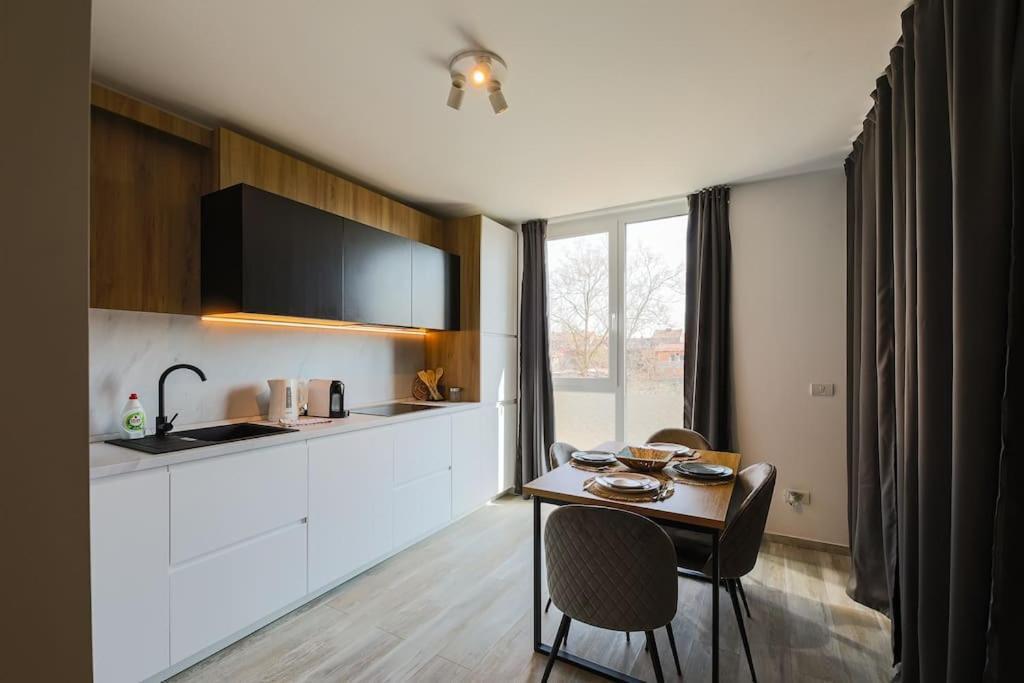 Luxury Apt. Near River & Parking Temeşvar Dış mekan fotoğraf
