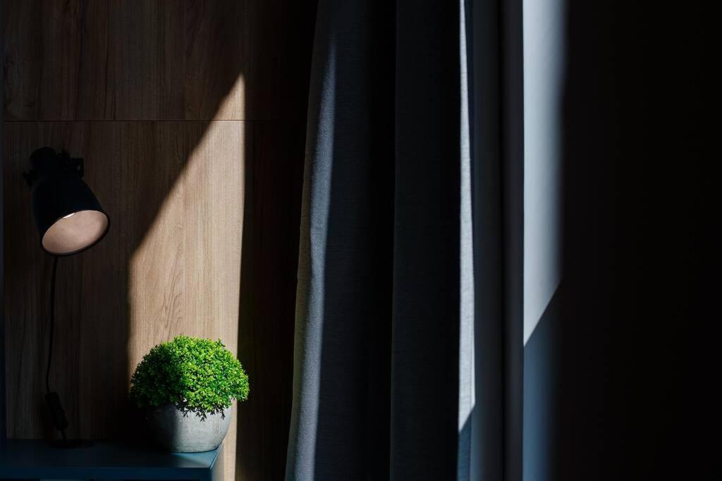 Luxury Apt. Near River & Parking Temeşvar Dış mekan fotoğraf